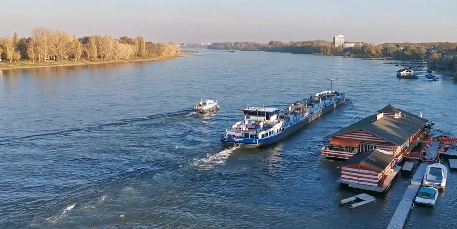 Frachtschiff auf dem Rhein vor dem Rodenkirchener Ufer im Herbstlicht