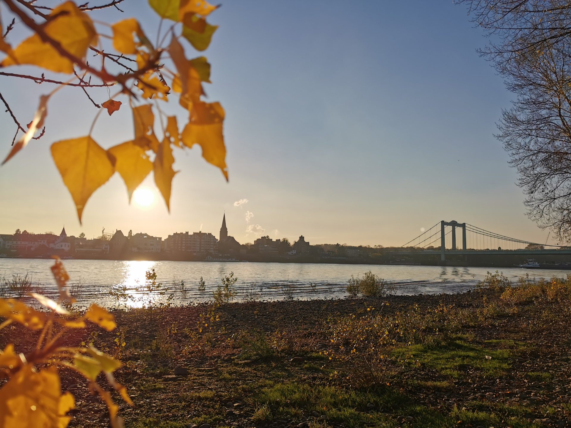 Herbst am Rheinufer